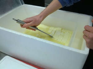 Cutting the curds